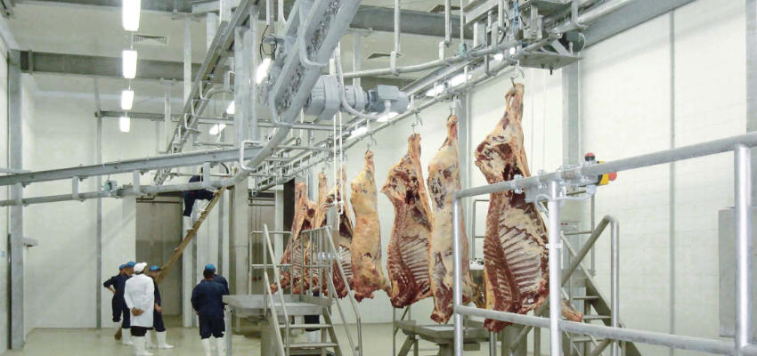 Линия производства мяса